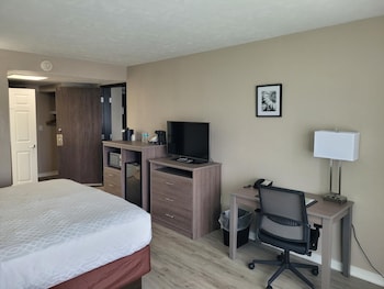 Standard Room, 1 King Bed with Sofa bed