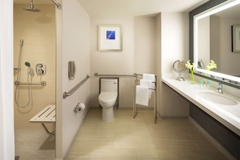 Room, 1 Queen Bed, Accessible (Shower)