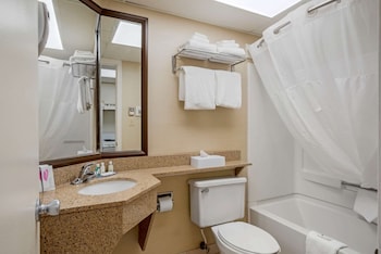 Room, Multiple Beds, Non Smoking (Efficiency)