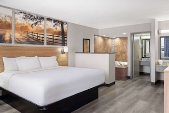 Suite, 1 King Bed