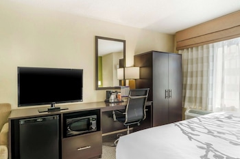 Room, 1 Queen Bed, Non Smoking
