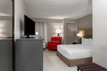 Room, 1 Queen Bed, Mobility Accessible, Non Smoking (Yes)