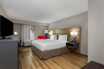 Room, 1 King Bed, Non Smoking