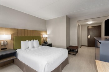 Room, 1 Queen Bed, Mobility Accessible, Non Smoking (Yes)