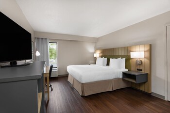 Suite, 1 King Bed, Non Smoking