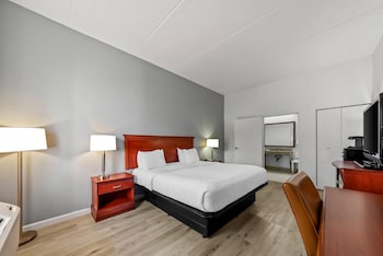 Room, 1 King Bed, Non Smoking (Accessible)