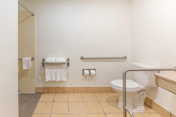 1 Queen Bed, Non Smoking, Exterior Corridor, Accessible Room, Bathtub