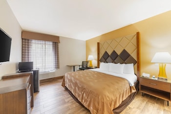 1 King Bed, Nonsmoking, Interior Corridor, Accessible Room, Roll-in Shower