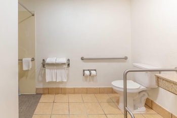 1 Queen Bed, Non Smoking, Exterior Corridor, Accessible Room, Bathtub