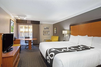 Room, 1 King Bed, Non Smoking, Poolside (Patio)