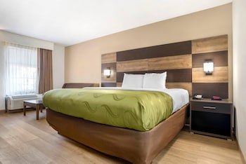 Suite, 1 King Bed with Sofa bed, Non Smoking