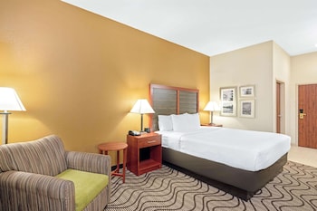 Room, 1 King Bed