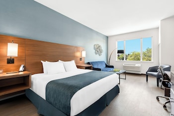Hayward ADA Room, 1 King Bed, Accessible