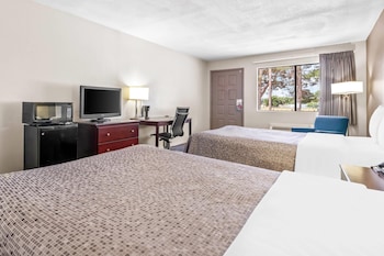 Standard Room, 2 Double Beds, Non Smoking (Pet Friendly)