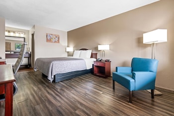 Standard Room, 1 King Bed, Non Smoking (Pet Friendly)