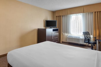 Standard Room, 1 Queen Bed, Accessible, Non Smoking
