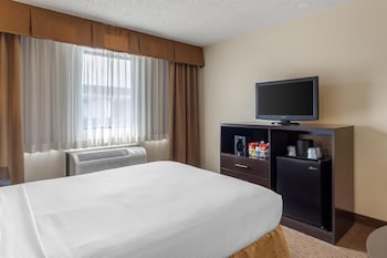 Standard Room, 1 Queen Bed, Non Smoking, Refrigerator