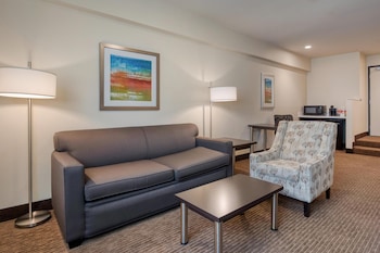Executive Suite, 1 Queen Bed, Non Smoking, Refrigerator & Microwave (Living Room)