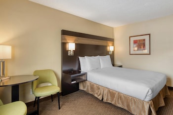 Standard Room, 1 Queen Bed, Accessible, Non Smoking (Walk-in Shower)