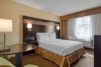Standard Room, 1 Queen Bed, Non Smoking, Refrigerator