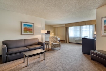 Standard Room, 1 King Bed, Non Smoking (Living Room;Oversized Room)