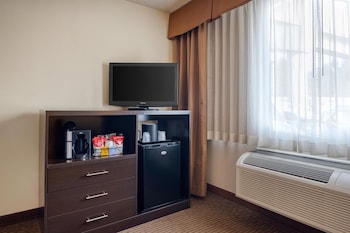 Standard Room, 1 Queen Bed, Accessible, Non Smoking (Walk-in Shower)