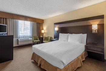 Standard Room, 1 Queen Bed, Accessible, Non Smoking (Walk-in Shower)