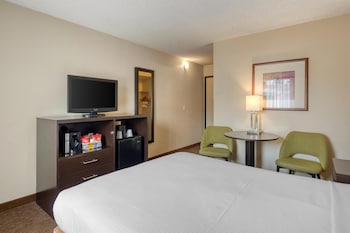 Standard Room, 1 Queen Bed, Non Smoking, Refrigerator