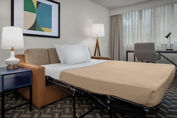 Suite, 1 Bedroom (Mobility/Hearing Access, Roll-In Shwr)