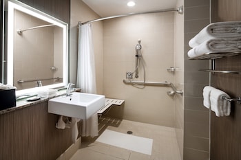 Room, 1 King Bed (Mobility/Hearing Access, Roll-In Shwr)