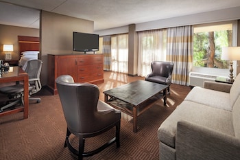 Executive Suite, 1 Bedroom, Mountain View