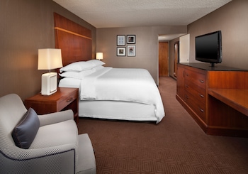 Room, 1 King Bed