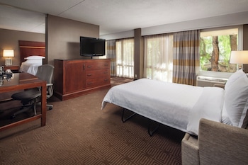 Executive Suite, 1 Bedroom, Mountain View
