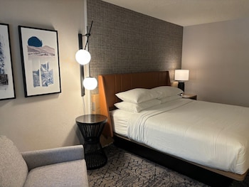 Room, 1 King Bed