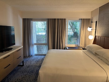 Room, 1 King Bed