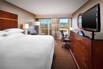 Room, 1 King Bed
