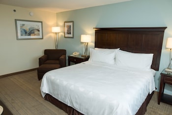 Standard Room, 1 King Bed, Accessible (Communications)