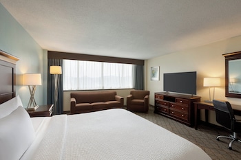 Standard Room, 1 King Bed with Sofa bed
