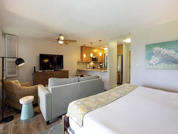Studio Suite (44B)