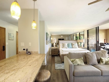 Studio Suite (44B)