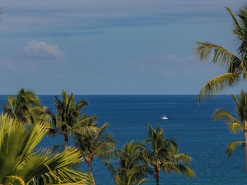 Condo, 1 Bedroom, Ocean View (29D)