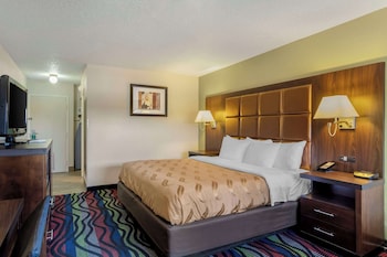 Room, 1 King Bed, Non Smoking