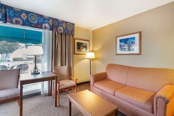 Standard Room, 1 King Bed, Refrigerator & Microwave, Poolside (with Sofabed)