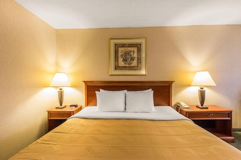Standard Room, 1 King Bed, Smoking
