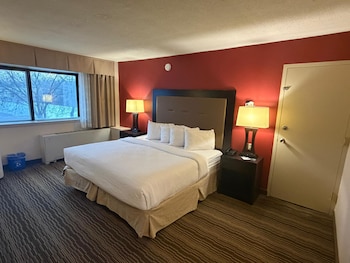 Suite, 1 Double Bed, Non Smoking (1 Bedroom, Parlor Suite)