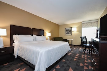 Standard Room, 1 King Bed with Sofa bed