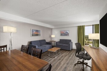 Suite, 1 King Bed, Non Smoking, Kitchen (Living Room;with Sofabed)