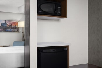 Standard Room, 1 King Bed, Non Smoking (Walk-in Shower;Pet Friendly)