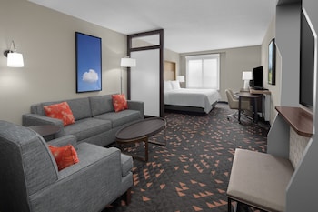 Suite, 1 King Bed with Sofa bed