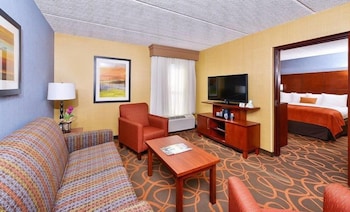 Suite, 1 King Bed, Non Smoking, Refrigerator & Microwave (with Sofabed)